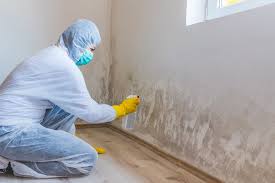 Best Post-Construction Mold Inspection  in Cleveland, GA